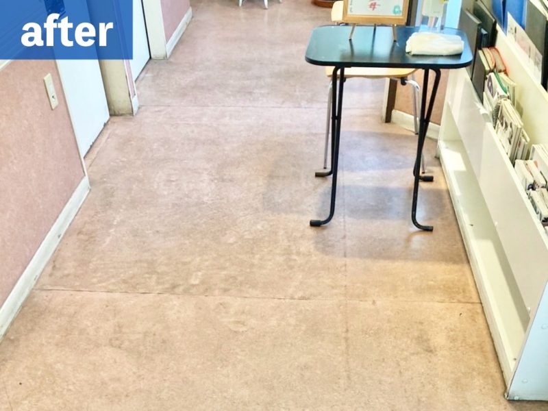 ふじみ野市_動物病院_2_a