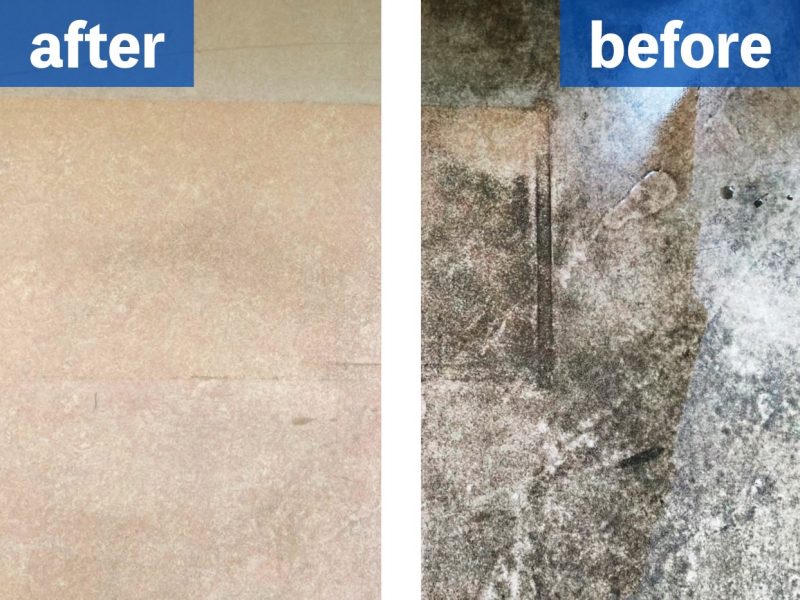 ふじみ野市_動物病院_3_ab