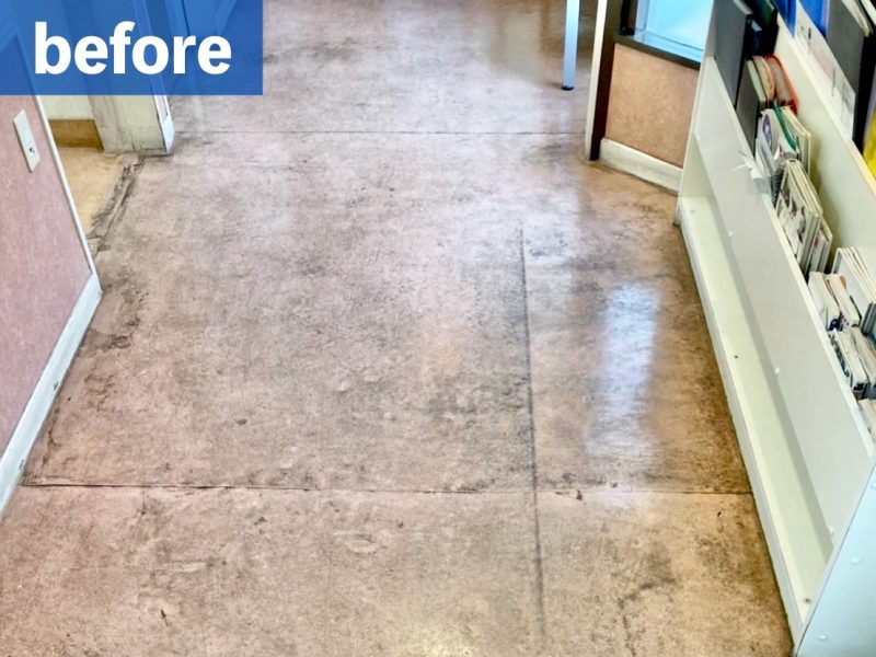 ふじみ野市_動物病院_1_b